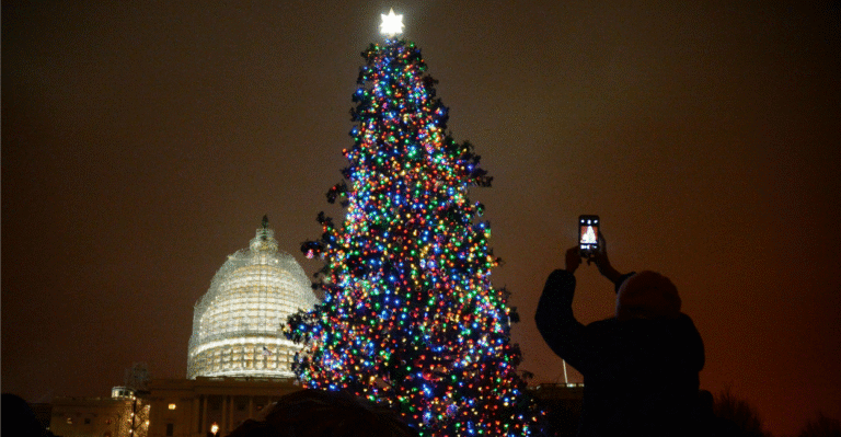 Federal Agency to Regulate Christmas Lights