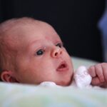 Michigan Court Says State Constitution Allows No Abortion Limits