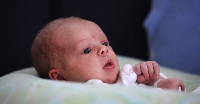 Michigan Court Says State Constitution Allows No Abortion Limits