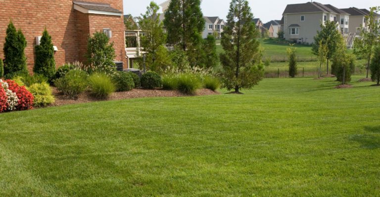 Why Is This Town Requiring All Homeowners, Even Those With Allergies, to Have Turf Grass?