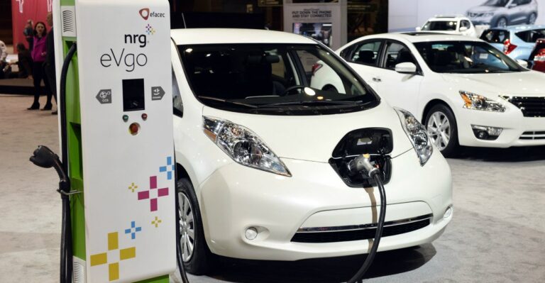 Without Government Subsidy, Electric Car Sales Crash in Georgia