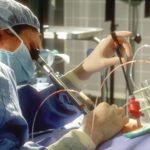 Michigan Parentage Bill Ignores Importance of Biology