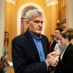 Senator Bill Cassidy