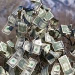 Not Even in Vermont Does Money Grow on Trees