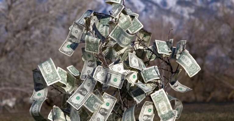 Not Even in Vermont Does Money Grow on Trees