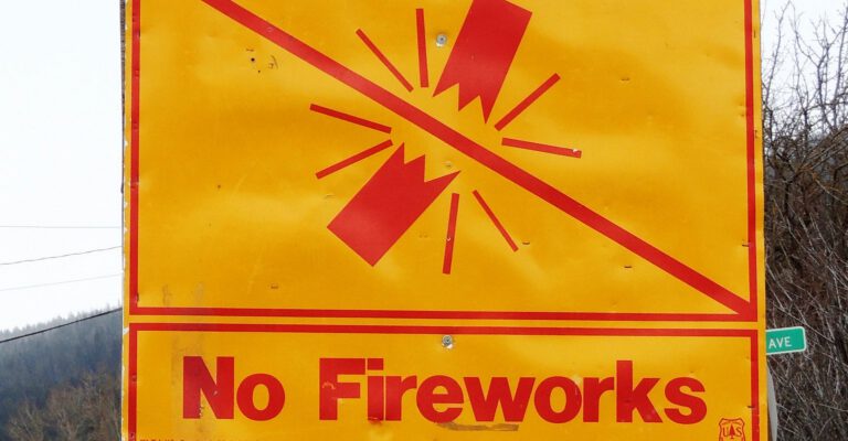 Iowa Banned Most Fireworks 76 Years Ago. Now One Lawmaker Is Trying to Change That.