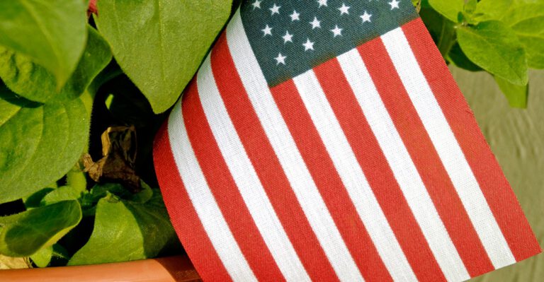 Florida Veteran Fights Foreclosure Over American Flag