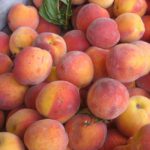 EPA Regs Likely to Kill 68-Year-Old Louisiana Peach Orchard