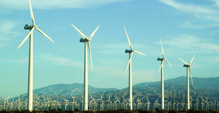 Federal Agency Faces Backlash After Wind Farms Get Exemption for Killing Eagles