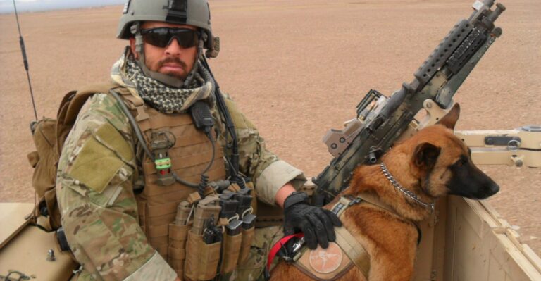 Four Legs and a Life of Service: The Fight to Allow Military Working Dogs to ‘Retire’ on U.S. Soil
