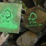 'Big Green' Lobby Wants to Cut 2 of 3 Forestry Oversight Branches