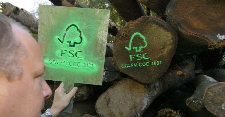 ‘Big Green’ Lobby Wants to Cut 2 of 3 Forestry Oversight Branches