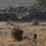 As Senators Quiz Kerry on ISIS, House OKs Obama Request to Arm, Train Syrian Rebels