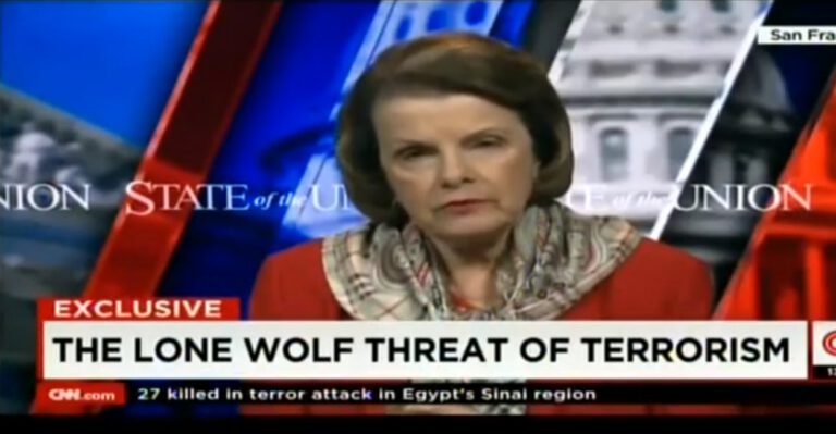 Sen. Dianne Feinstein: ‘Lone-Wolf’ Terrorist Attacks a Growing Threat
