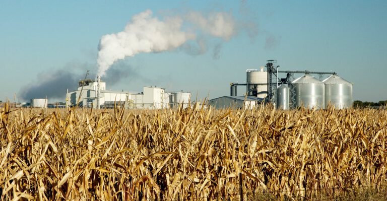 The Ethanol Mandate Proves the Government Is a Poor Central Planner