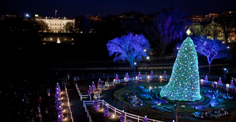 An Inside Look at the National Christmas Tree Lighting