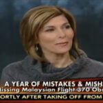 Why Sharyl Attkisson Thinks Networks Have Wall-to-Wall Coverage of Missing Planes