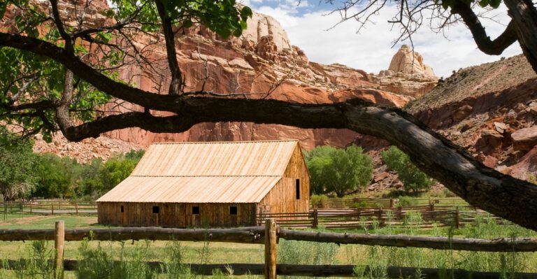Is Your State on the Path to Prosperity or the Poorhouse?