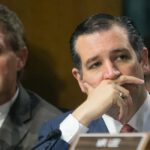 Ted Cruz Questions ICE Official Over Illegal Immigration: ‘There Is a Reason the American People Are Upset’