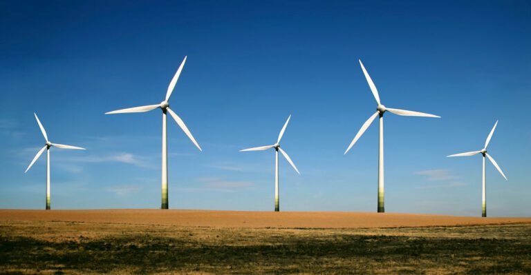 ‘Not in My Backyard’: Green Energy Mogul Who Opposed Wind Farm Adopts a Different Approach Away From Home