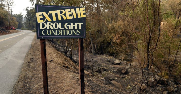 California’s Drought: Not an Environmental Problem. An Environmentalist Problem.