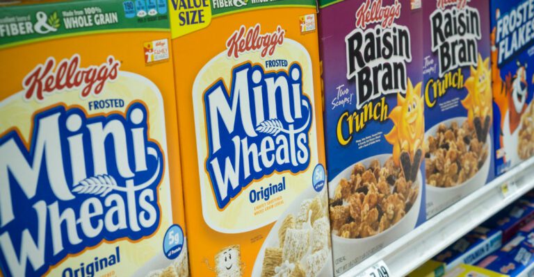 What’s Behind Maine’s 22% Decrease in Food Stamp Recipients Since 2012