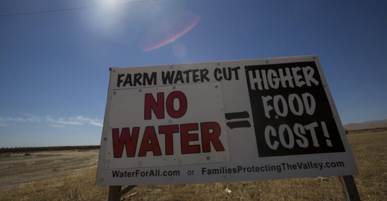 Californians on Insane Water Policy: ‘Whatever’