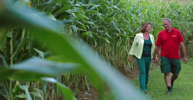 Lawyers Suing Farmers for Refusing to Host Same-Sex Wedding Compare Case to ‘Race Discrimination’
