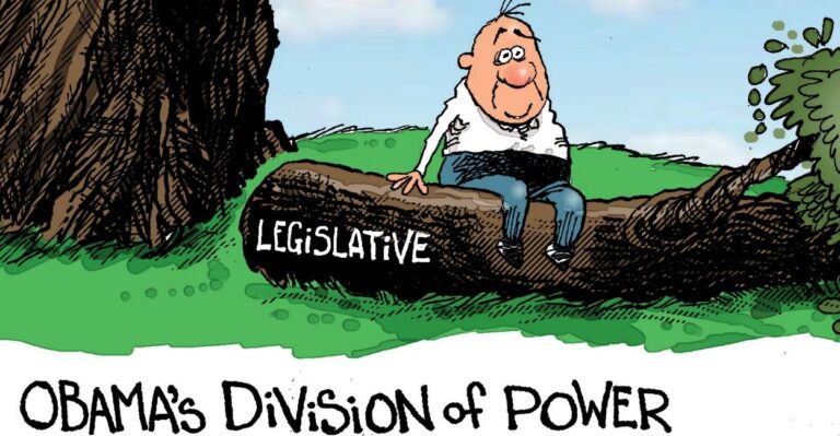 Cartoon: Obama’s Division of Power