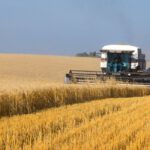 Millionaires Are Qualifying for Medicaid Under Obamacare