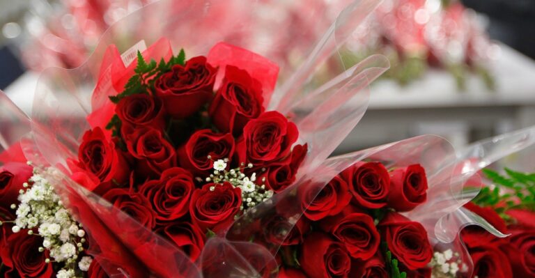 These College Students Propose to Bring Back Dating for Valentine’s Day