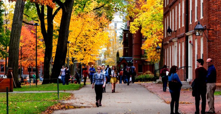 Why Have Universities Been Overtaken by Mob Rule?