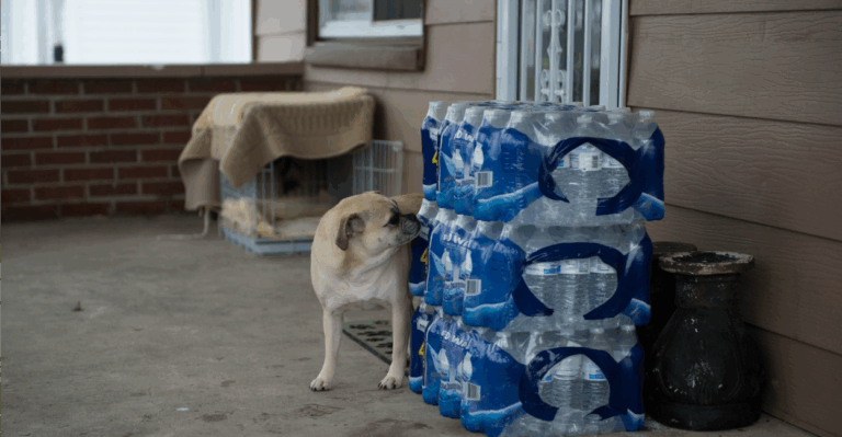 Mike Lee: D.C. Politicians Trying to Take Advantage of Flint Crisis