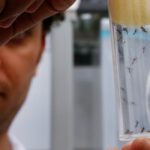 Why HHS Says It Doesn’t Want to Spend Anti-Ebola Funds to Fight Zika