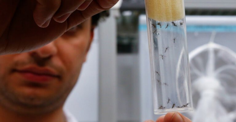 Why HHS Says It Doesn’t Want to Spend Anti-Ebola Funds to Fight Zika