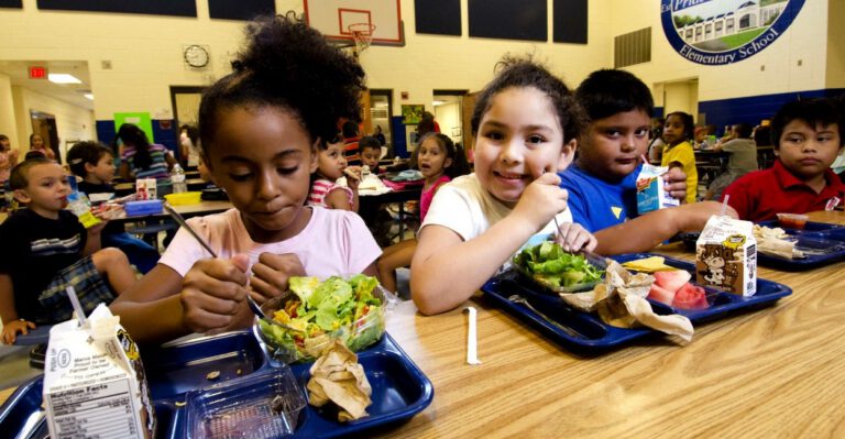 School Lunch Program: No Wealthy Child Left Behind