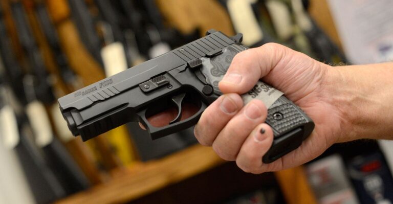 Taking Away Constitutional Rights at the Discretion of the Government
