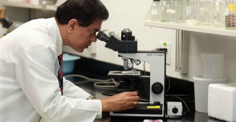 What Could Go Wrong With the Government’s Proposal to Put Human Cells in Animal Embryos