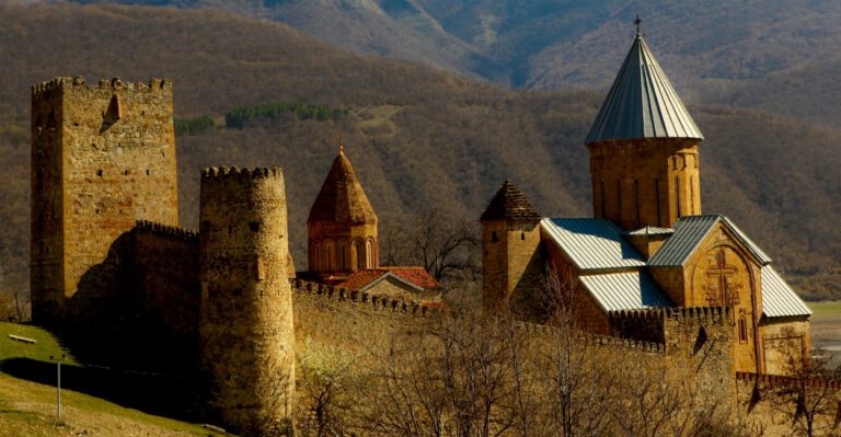 How Georgia Could Boost American Interests