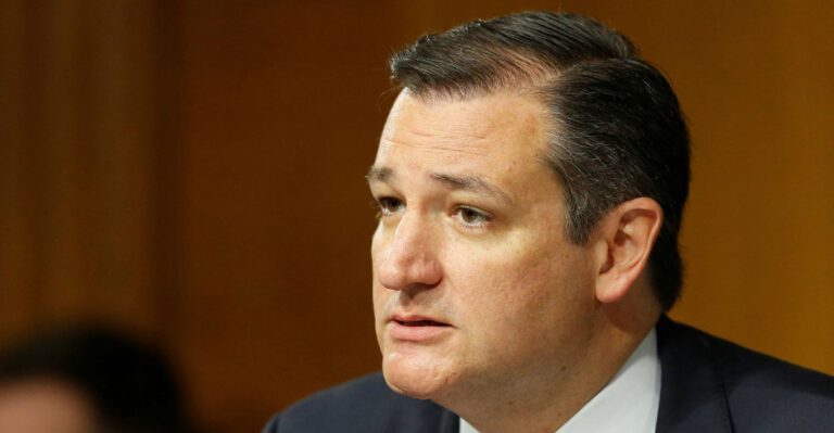 US Has Duty to Ensure Internet Freedom, Cruz Says at Hearing on Obama Plan