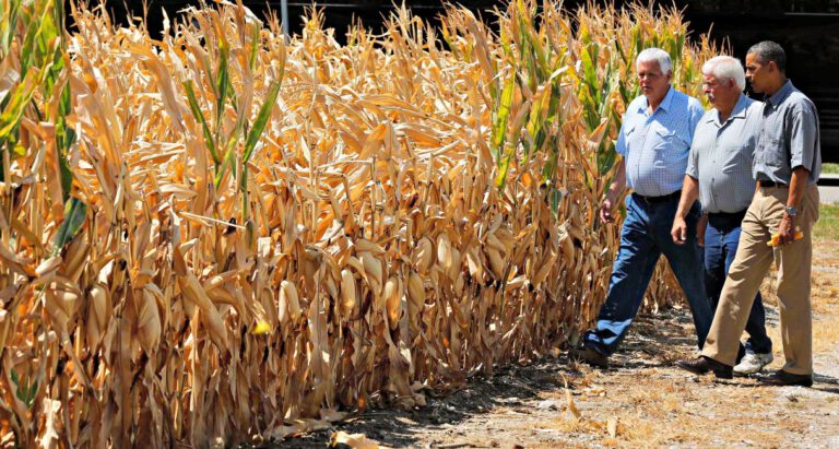 Obama’s New Death Tax Threatens Family Farms and Businesses