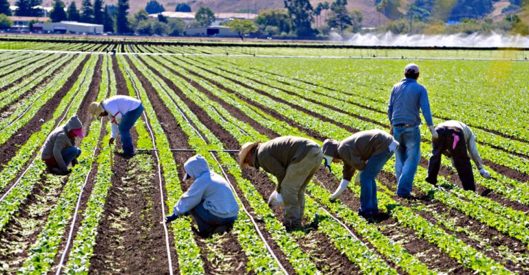 Amnesty Would Cost Taxpayers Trillions, National Academy of Sciences Report Indicates