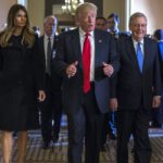 Obamacare ‘Insurer Bailouts’ Become Less Likely Under President Trump