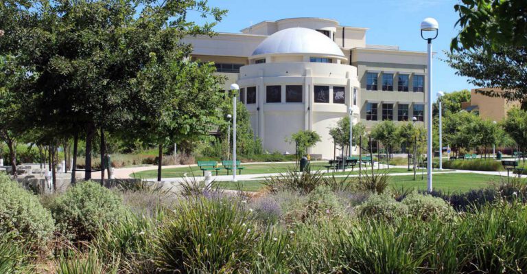 Nation’s Largest College System Says It Will Protect Illegal Immigrants From Trump