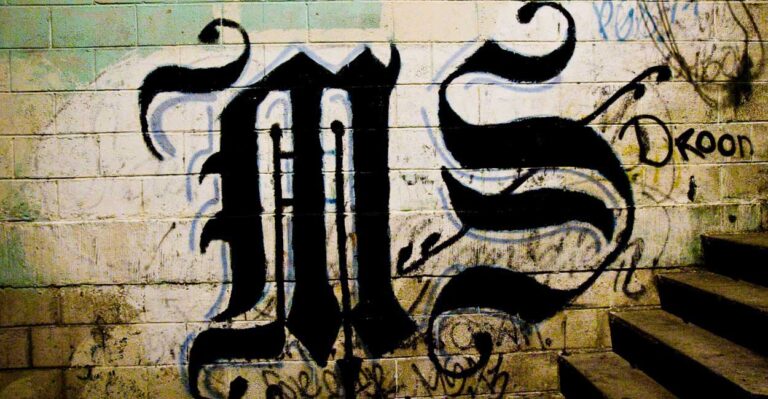 Trump, Sessions Target MS-13 Gang in Push Against Illegal Immigration