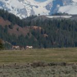 Government Has No Clue How Much Land It Bought With $815 Million