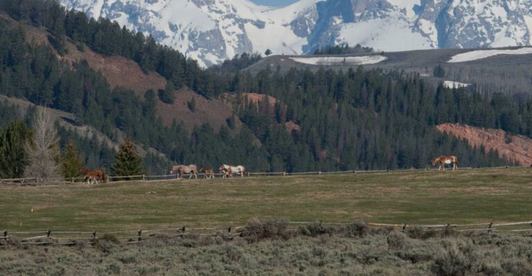 Government Has No Clue How Much Land It Bought With $815 Million