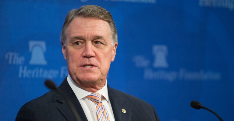 GOP Senator and Former CEO Warns: ‘Important’ to Do Tax Reform in 2017, Not Later
