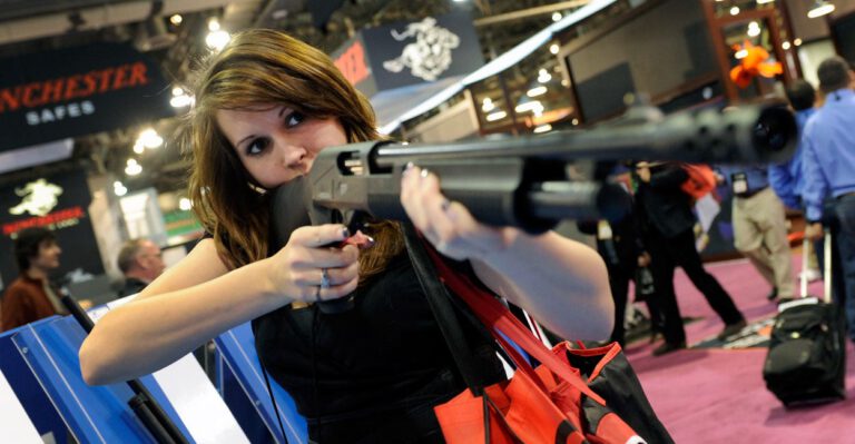 It Could Be a Great Year for America’s Gun Owners. And for Gunmakers, Too.