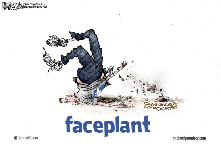 Cartoon: Facebook Faceplant